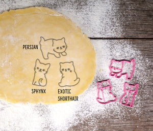 Cat Series 4 Cookie Cutter | Persian, Spynx, Exotic Shorthair